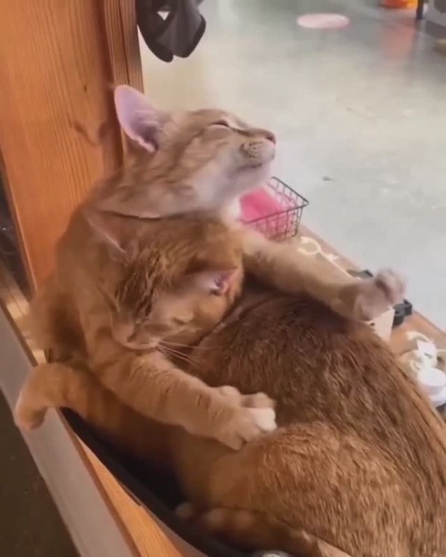 Суббота подходит к концу. Доброй ночи!