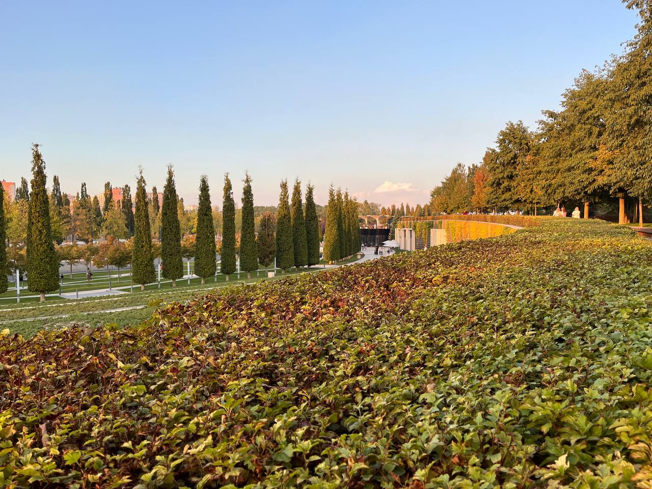 Погода в Краснодаре в субботу будет почти летней