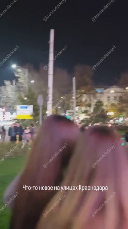 Полиция начала доследственную проверку по факту драки на улице Красной