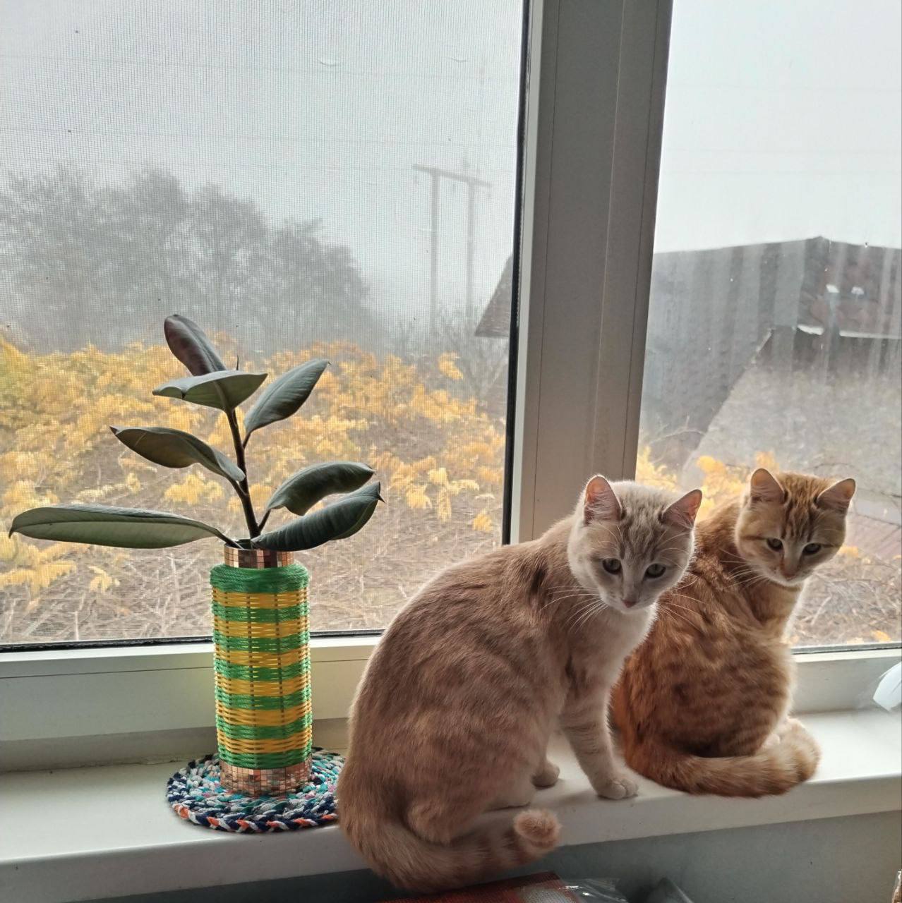 О погоде на 23 ноября. В Краснодарском крае переменная облачность О погоде на 23 ноября. В Краснодарском крае переменная облачность