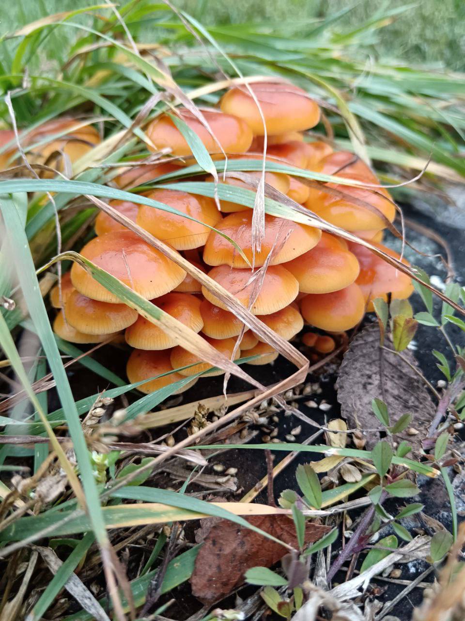 О погоде на 23 ноября. В Краснодарском крае переменная облачность О погоде на 23 ноября. В Краснодарском крае переменная облачность