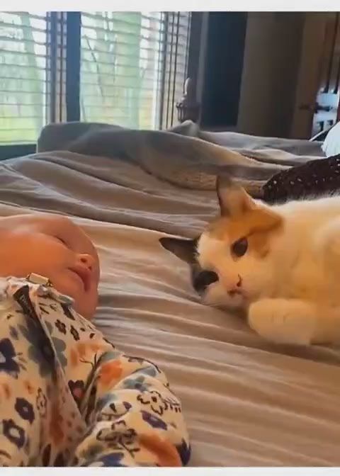 Смотрим, умиляемся и идём спать