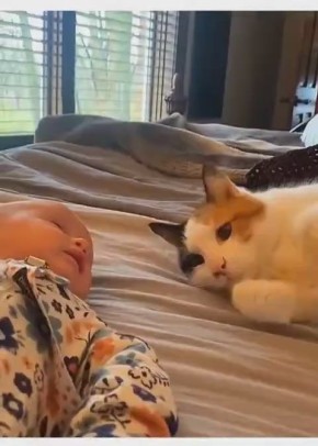 Смотрим, умиляемся и идём спать