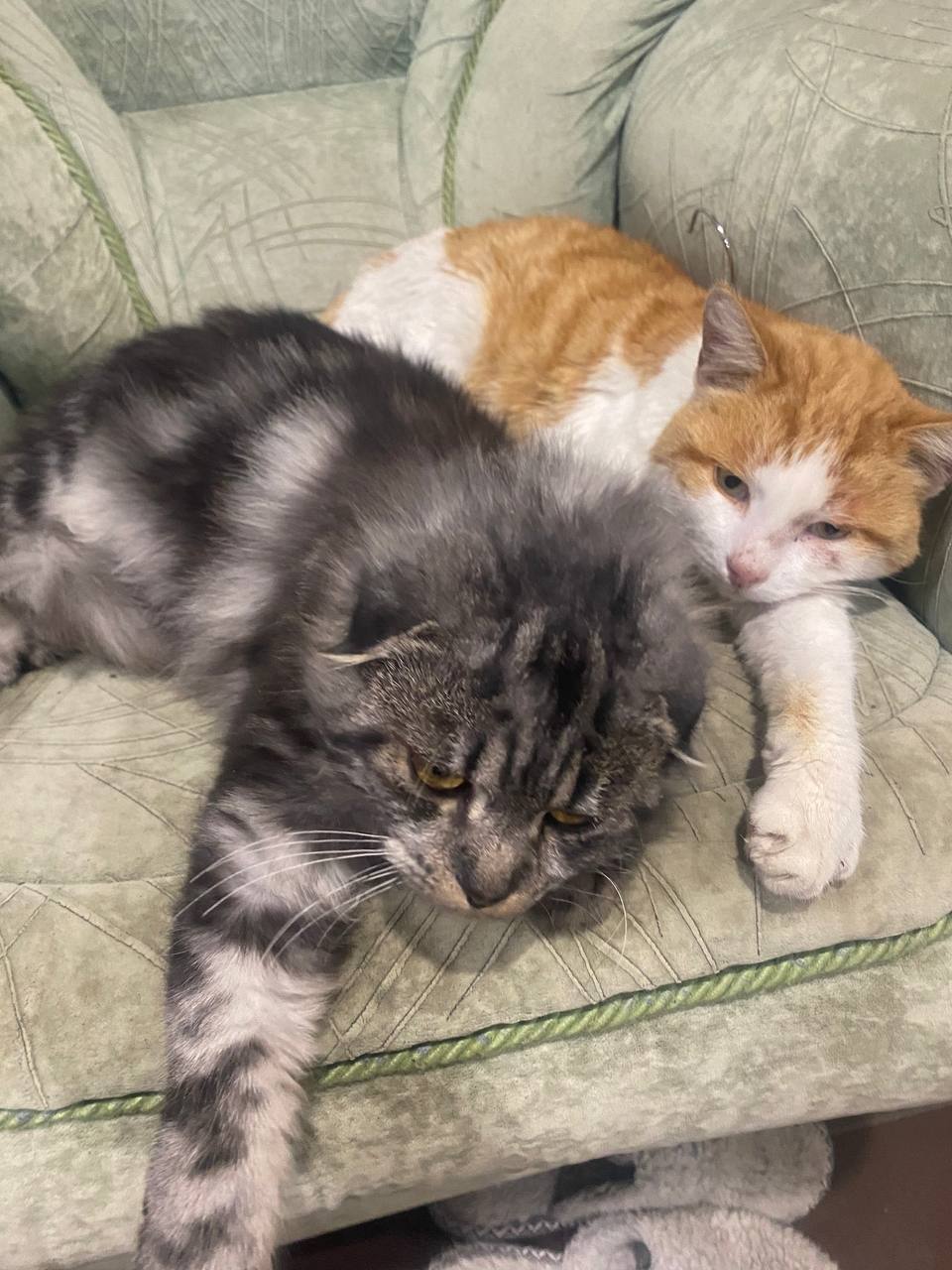 О погоде на 23 ноября. В Краснодарском крае переменная облачность О погоде на 23 ноября. В Краснодарском крае переменная облачность