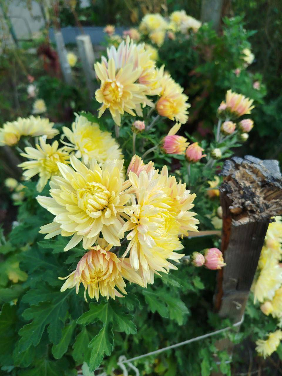 О погоде на 23 ноября. В Краснодарском крае переменная облачность О погоде на 23 ноября. В Краснодарском крае переменная облачность