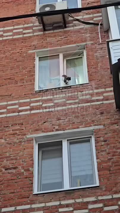 Не будем тянуть кота за хвост