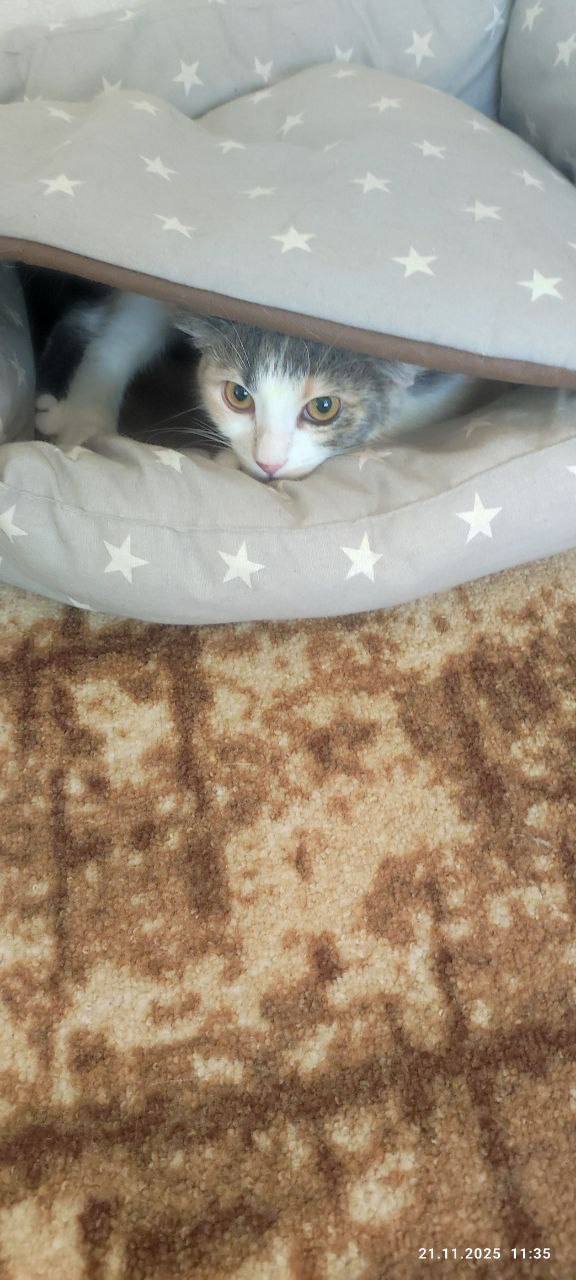 О погоде на 23 ноября. В Краснодарском крае переменная облачность О погоде на 23 ноября. В Краснодарском крае переменная облачность