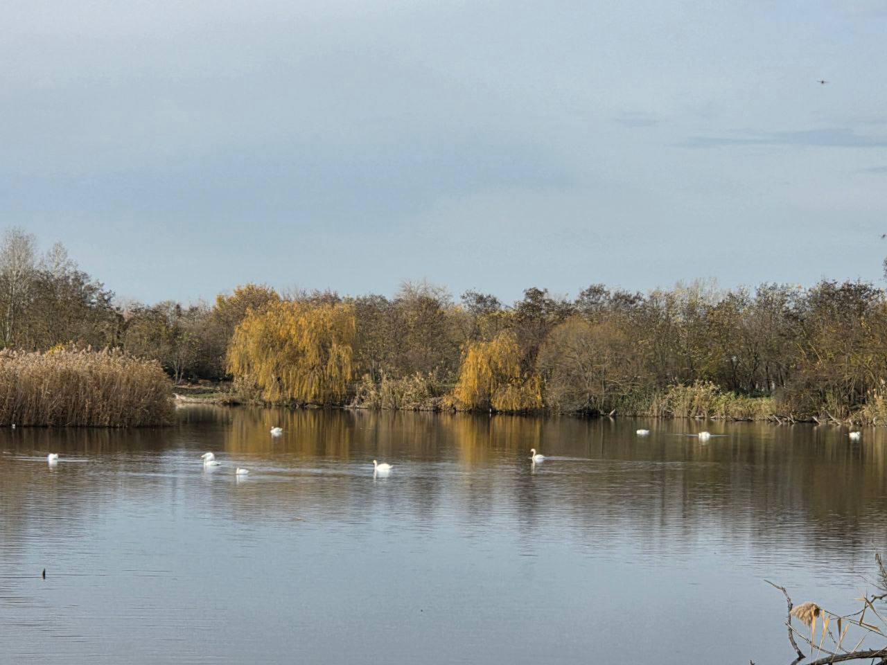 О погоде на 24 ноября. В Краснодарском крае переменная облачность О погоде на 24 ноября. В Краснодарском крае переменная облачность