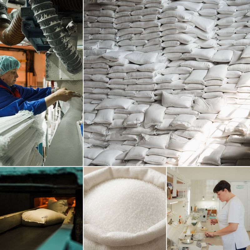 Вениамин Кондратьев: В Краснодарском крае завершается сезон переработки сахарной свеклы