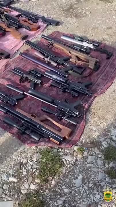 Схрон с большим количеством оружия нашли на дачах под Геленджиком