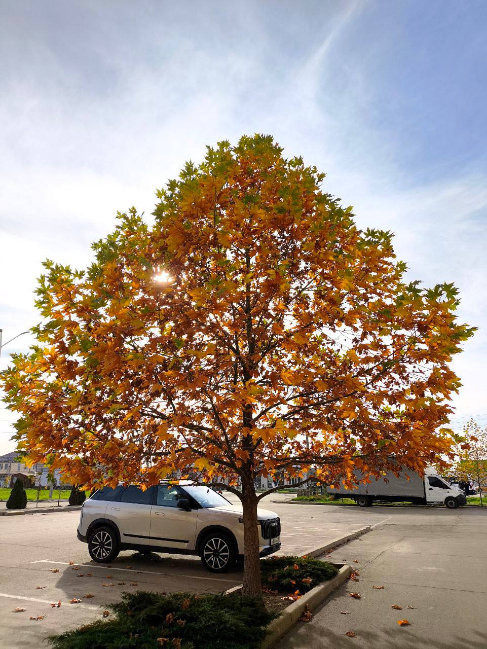 О погоде на 24 ноября. В Краснодарском крае переменная облачность О погоде на 24 ноября. В Краснодарском крае переменная облачность