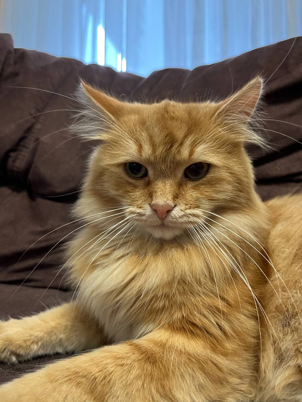 О погоде на 24 ноября. В Краснодарском крае переменная облачность О погоде на 24 ноября. В Краснодарском крае переменная облачность