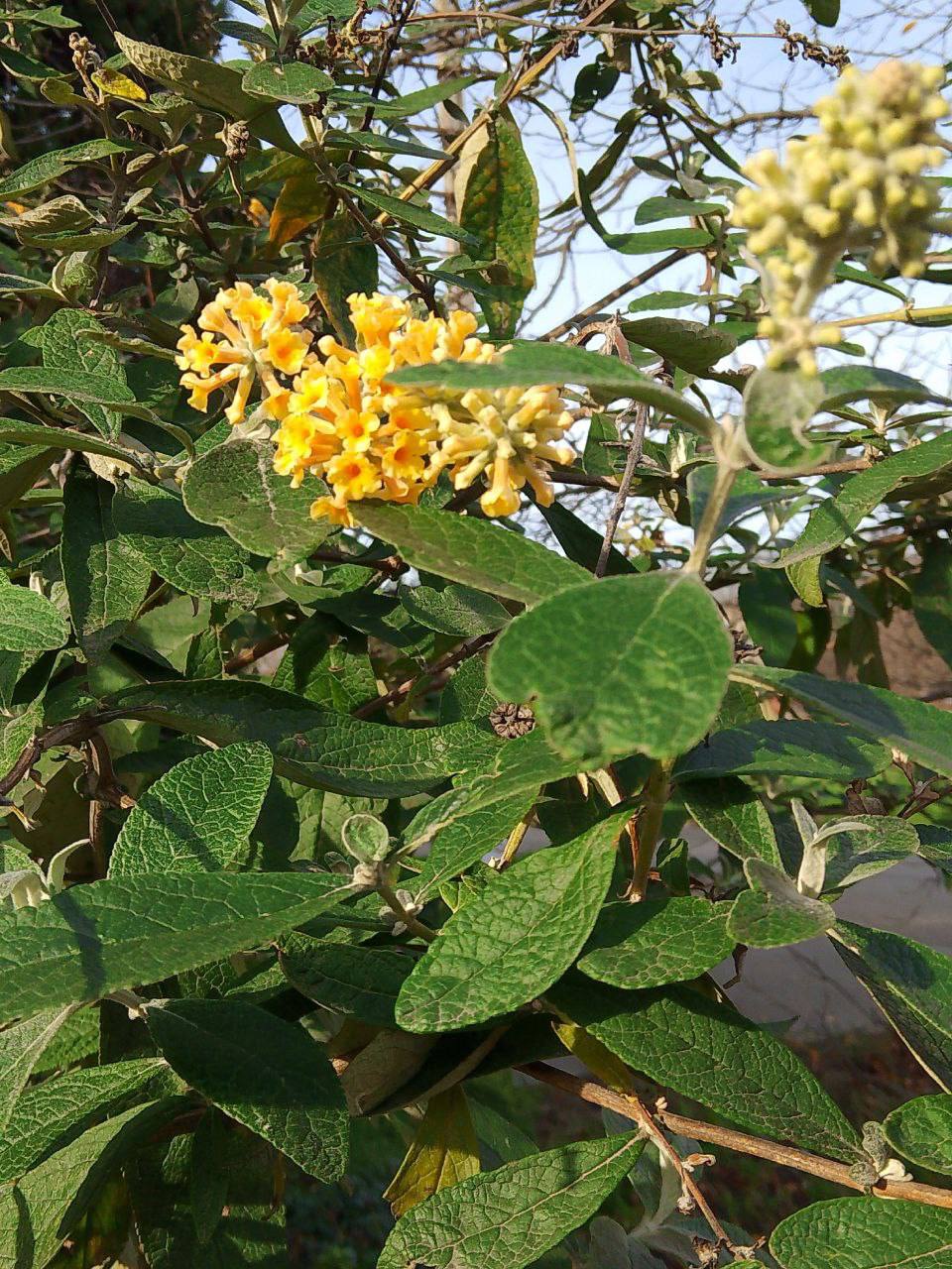 О погоде на 24 ноября. В Краснодарском крае переменная облачность О погоде на 24 ноября. В Краснодарском крае переменная облачность