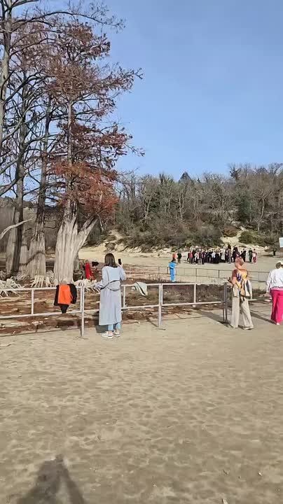 Топтать – легко. Говорят, что ломать – не строить