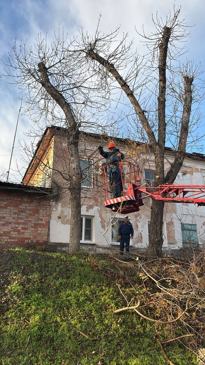 Рубрика «Ейск сегодня. Дела житейские» Рубрика «Ейск сегодня. Дела житейские»