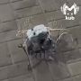 В центре Краснодара нашли фрагменты беспилотников, они упали возле многоквартирного дома