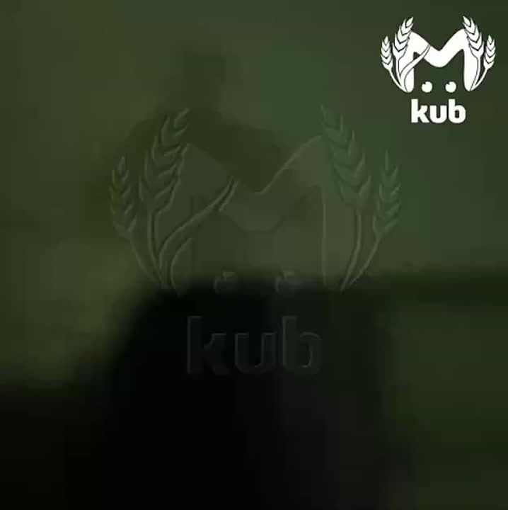 Водитель грузовика в новороссийском селе Борисовка спасся из фуры, в которую попали обломки БПЛА