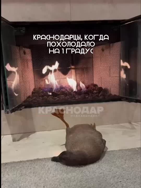 ������ ����������� ����� ������ � ������������� ����