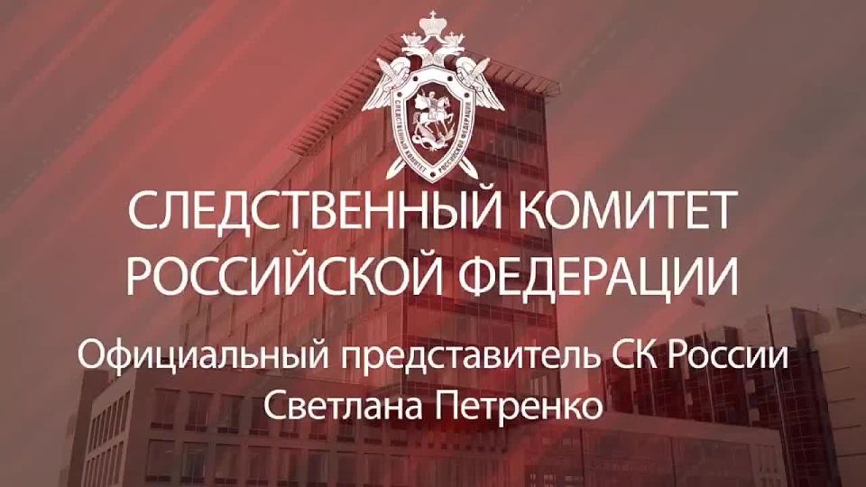 Официальный представитель СК России Светлана Петренко: