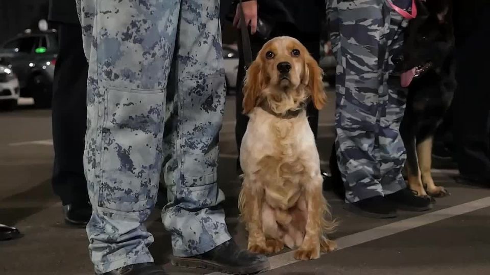 В Краснодаре проведены дополнительные рейдовые мероприятия