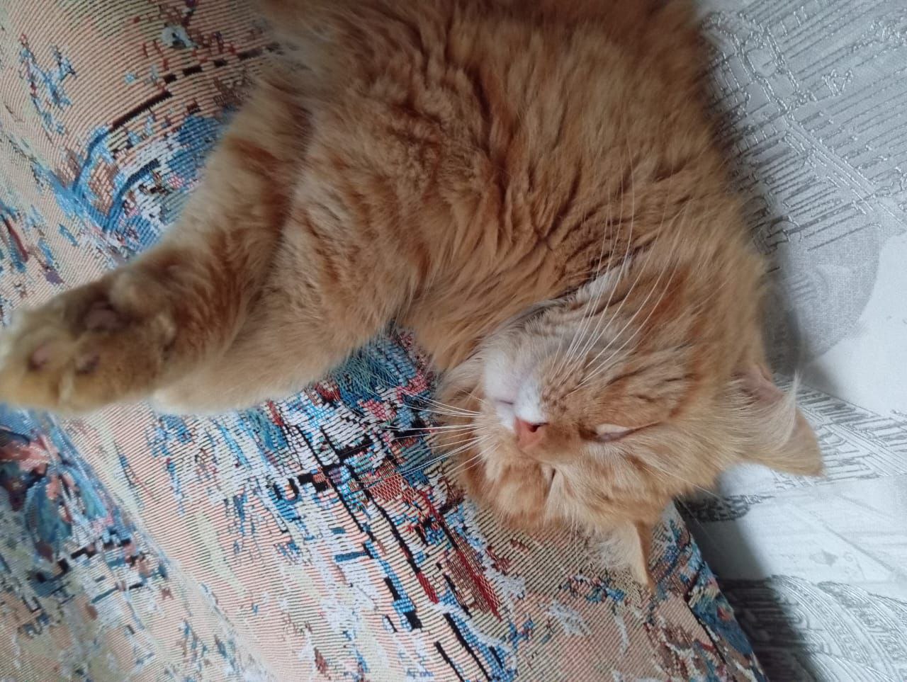 Доброе утро, Кубань!. Краснодар +6…+14 °С Доброе утро, Кубань!. Краснодар +6…+14 °С