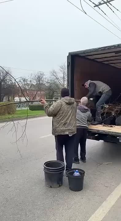 Глава Краснодара рассказал о масштабных посадках деревьев и кустарников