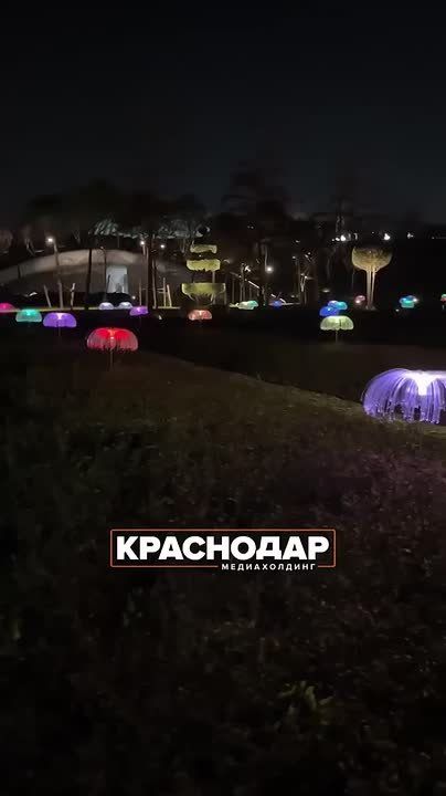 Показываем, что нового появилось из украшений в парке Галицкого