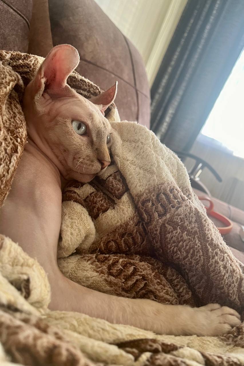 Доброе утро, Кубань!. Краснодар +6…+14 °С Доброе утро, Кубань!. Краснодар +6…+14 °С