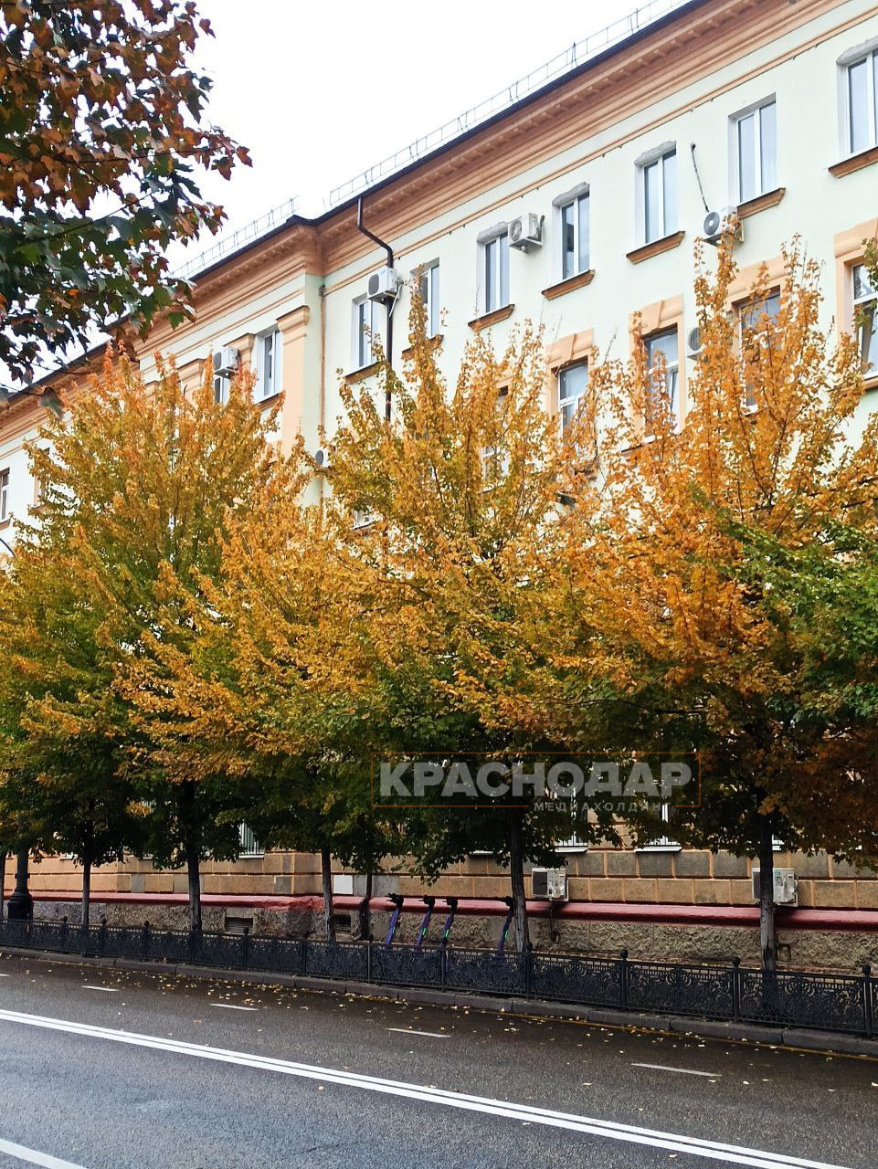 Продолжаем нашу ежедневную рубрику «Краснокадр»