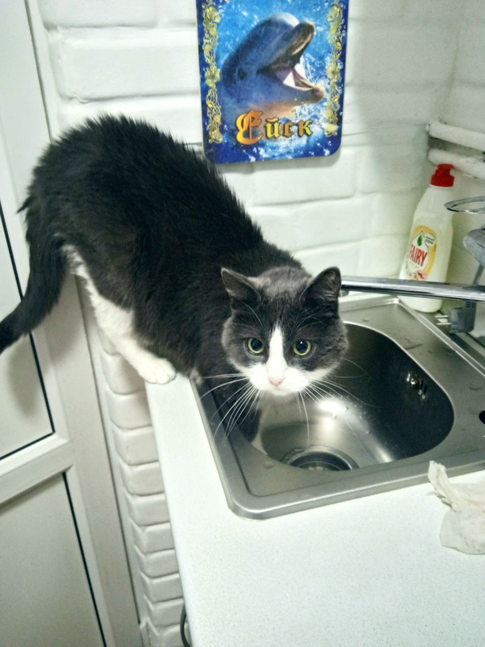 Доброе утро, Кубань!. Краснодар +6…+14 °С Доброе утро, Кубань!. Краснодар +6…+14 °С