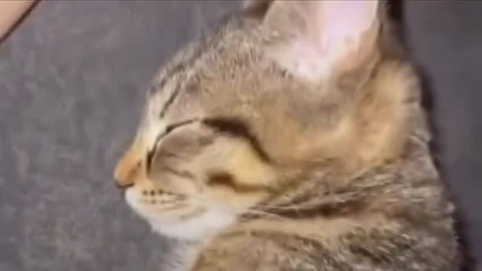 На работе нужно быть в 7.00