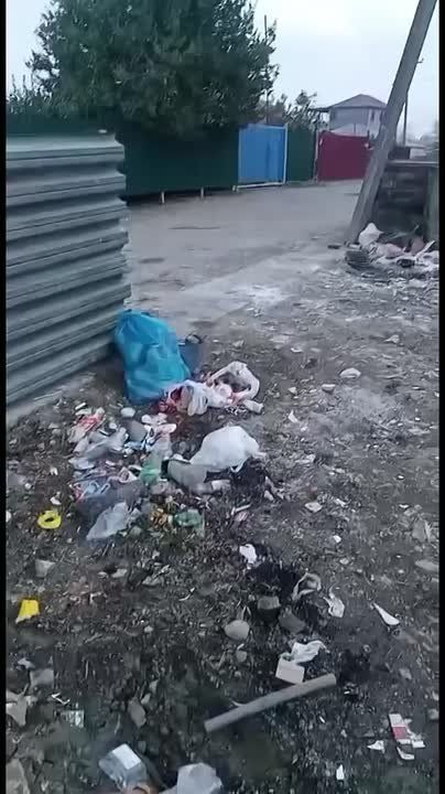 Не замууучательно. В Сочи появились новые любители порыться в чужом грязном белье мусоре