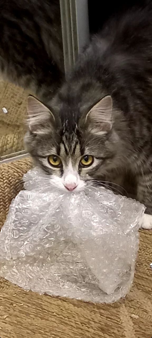 Доброе утро, Кубань!. Краснодар +6…+14 °С Доброе утро, Кубань!. Краснодар +6…+14 °С