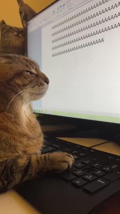 Середина рабочей недели, держимся