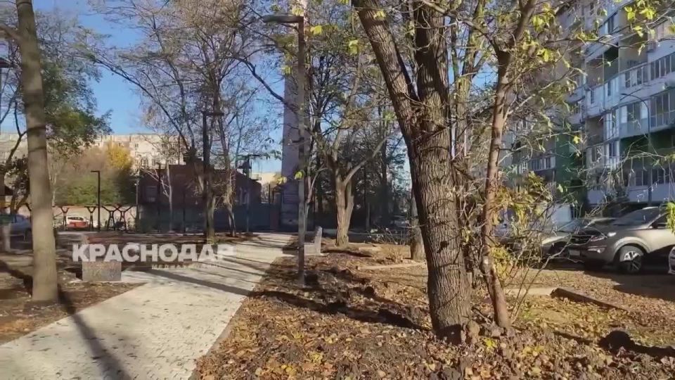 Марина Курячая рассказала о благоустройстве Краснодара за последние несколько лет