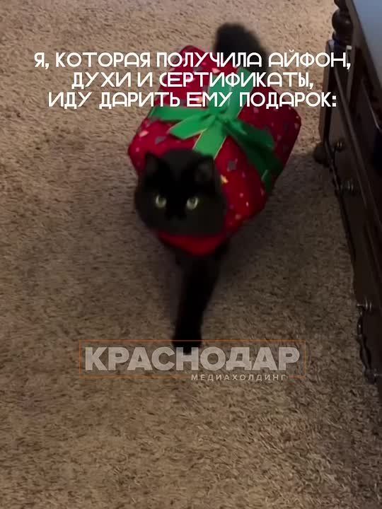 Тик-так, тик-так... До Нового года 34 дня! Уже думали, что загадать Деду Морозу?