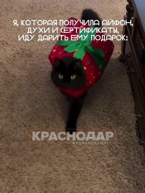 -, -...    34 !  ,    ?