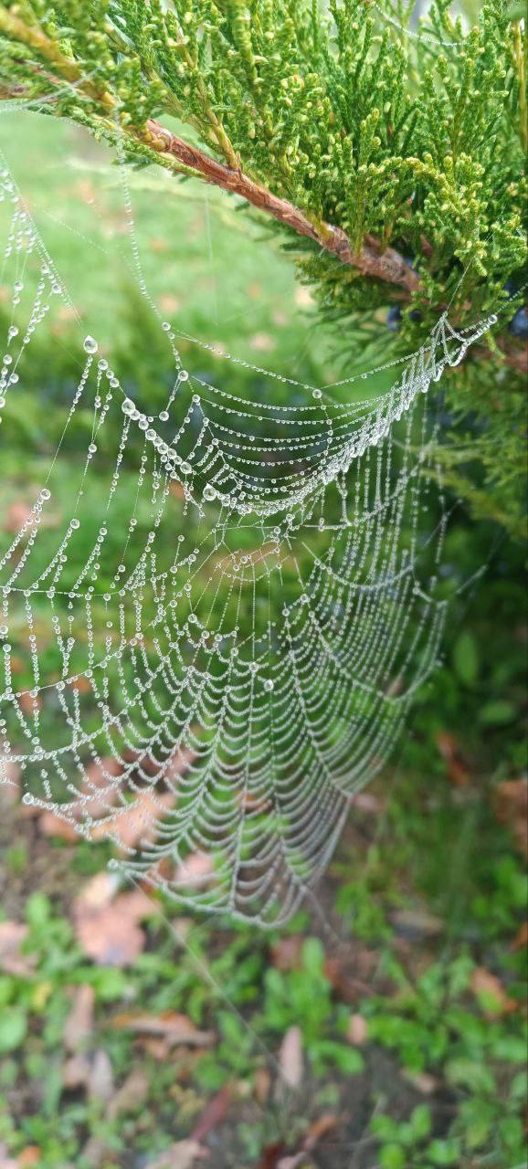 О погоде на 27 ноября. В Краснодарском крае переменная облачность