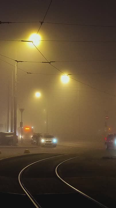 Сегодня с утра стоит плотный туман
