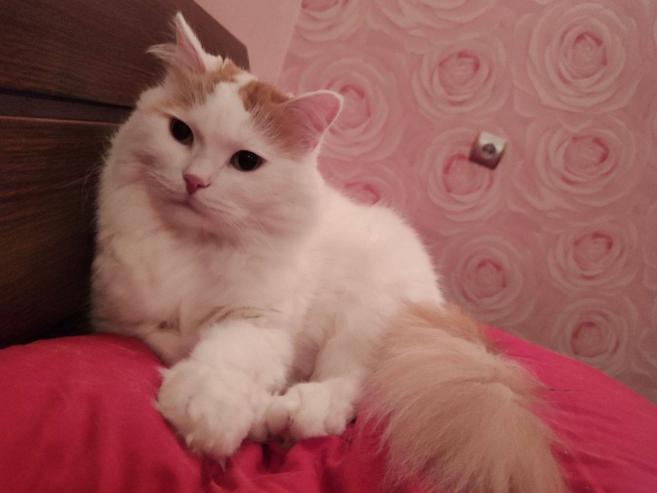 О погоде на 27 ноября. В Краснодарском крае переменная облачность О погоде на 27 ноября. В Краснодарском крае переменная облачность