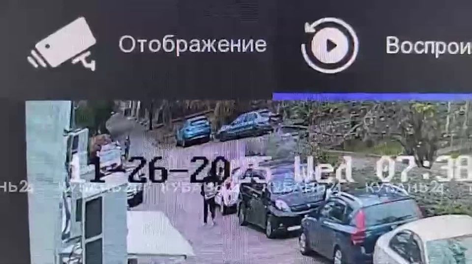 Четырех детей за месяц покусали дворняги в Краснодаре