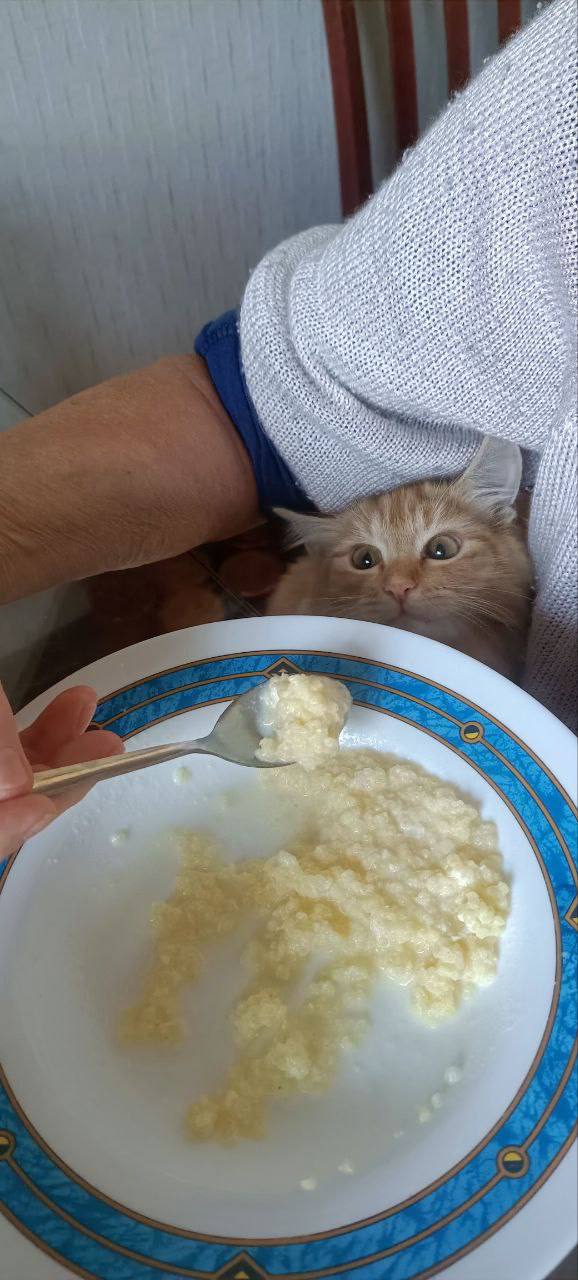 О погоде на 27 ноября. В Краснодарском крае переменная облачность О погоде на 27 ноября. В Краснодарском крае переменная облачность