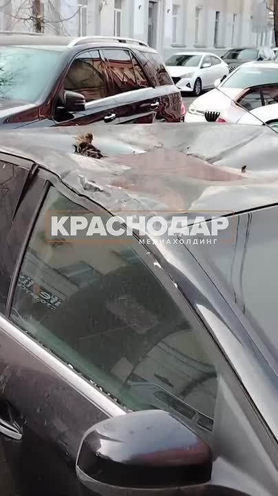 Банные процедуры под открытым небом