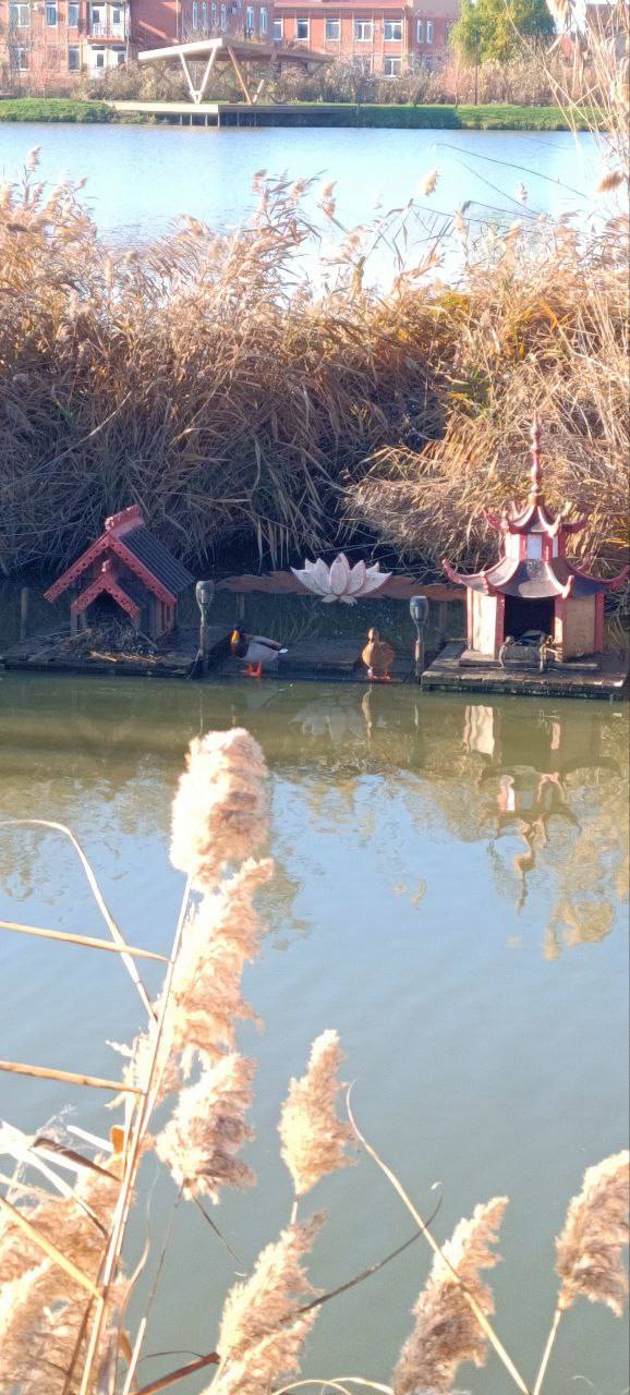 О погоде на 27 ноября. В Краснодарском крае переменная облачность О погоде на 27 ноября. В Краснодарском крае переменная облачность