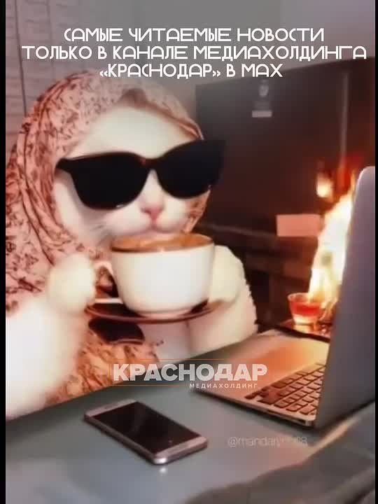 Проблемы с доставкой новостей? Не грузятся животрепещущие видео?