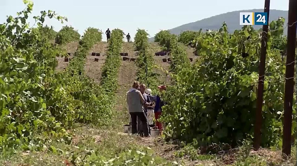 Победителей 20 конкурса лидеров туриндустрии «Курортный Олимп» наградили в Геленджике