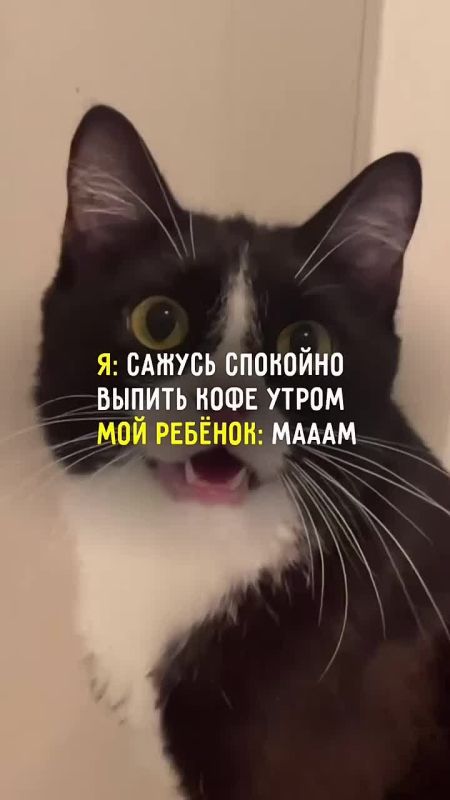 Накануне Дня матери вспоминаем фирменные фразы своих мам