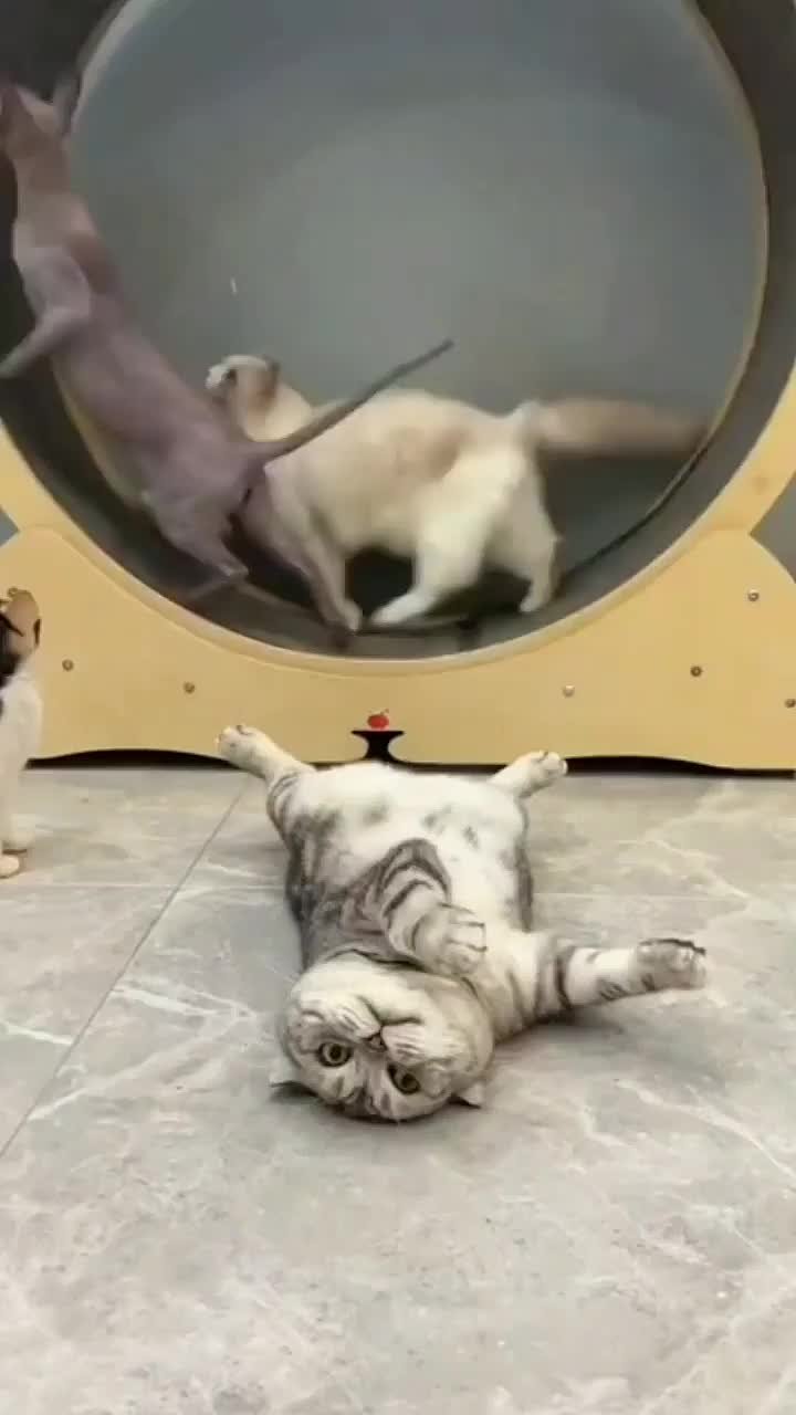 Нее, спорт это не моё