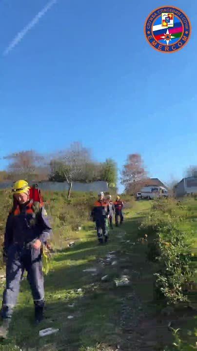 Женщину с травмой ноги эвакуировали из леса на носилках в Сочи