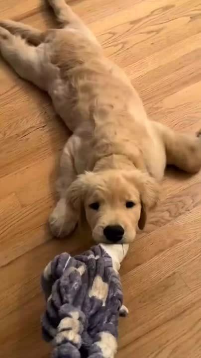 Доброе воскресное утро! Можно еще поваляться